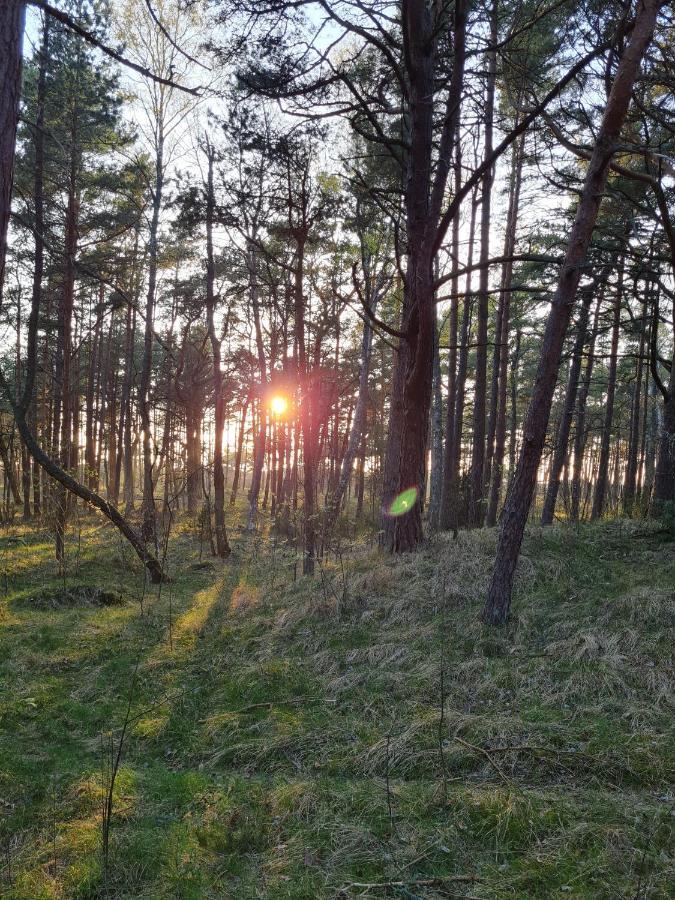 Juros Sentimentai Mano Jura2 Lejlighed Palanga Eksteriør billede